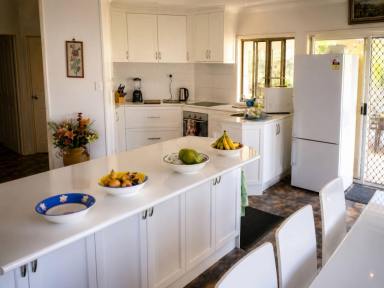 House For Sale - QLD - Mareeba - 4880 - CURRENTLY UNDER OFFER - Enquiries Closed. Thanks. | Spacious Tropical 6 Bedroom, High Commercial Garage, Dual Living & Income Potential, 1,314m² (Image 2)