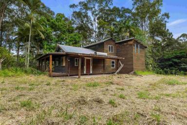 Acreage/Semi-rural For Sale - QLD - Wolvi - 4570 - Off-Grid Lifestyle Property (Image 2)