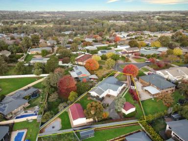 House For Sale - NSW - Young - 2594 - Style, Space, Situation & Shedding  (Image 2)