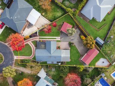 House For Sale - NSW - Young - 2594 - Style, Space, Situation & Shedding  (Image 2)