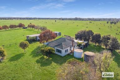 House For Sale - VIC - Newbridge - 3551 - Spectacular Loddon River Frontage, 46.21Hectares / 114 Acres  (Image 2)