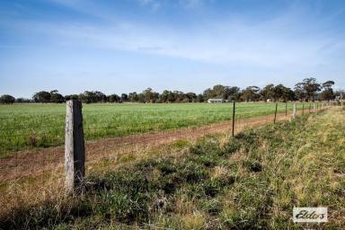 Residential Block For Sale - VIC - Newbridge - 3551 - Productive Farm Land – 3 Adjoining Titles, Lots 14, 15 & 15A Corner Wimmera Hwy and Ryan Street, Newbridge (Image 2)