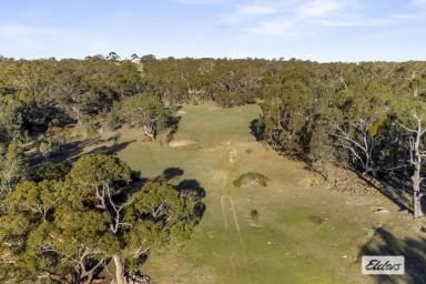 Other (Rural) For Sale - VIC - Cathcart - 3377 - 36 Acres - Picturesque And Only Minutes To Town  (Image 2)