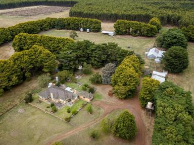 Mixed Farming For Sale - VIC - Branxholme - 3302 - "Rossall" 98Ha/243Ac  (Image 2)