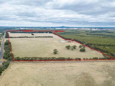 Mixed Farming For Sale - VIC - Branxholme - 3302 - "Rossall" 98Ha/243Ac  (Image 2)
