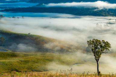 Lifestyle For Sale - NSW - Gloucester - 2422 - Idyllic 78-Acre Lifestyle Retreat with River Frontage  (Image 2)