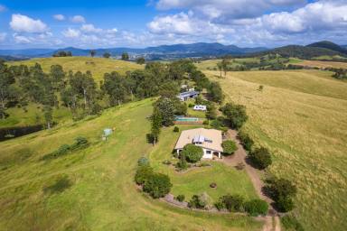 Lifestyle For Sale - NSW - Gloucester - 2422 - Idyllic 78-Acre Lifestyle Retreat with River Frontage  (Image 2)