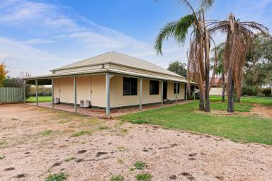 House For Sale - VIC - Mildura - 3500 - Semi-rural retreat! (Image 2)
