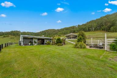 Lifestyle For Sale - NSW - Gloucester - 2422 - 'Jumaron Ridge' - A Scenic Rural Lifestyle Retreat (Image 2)