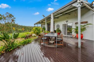 Lifestyle For Sale - NSW - Gloucester - 2422 - 'Jumaron Ridge' - A Scenic Rural Lifestyle Retreat  (Image 2)