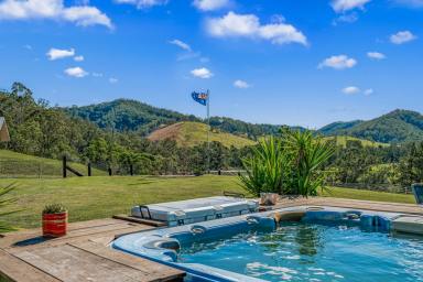 Lifestyle For Sale - NSW - Gloucester - 2422 - 'Jumaron Ridge' -  256 Acre Rural Lifestyle Retreat  (Image 2)