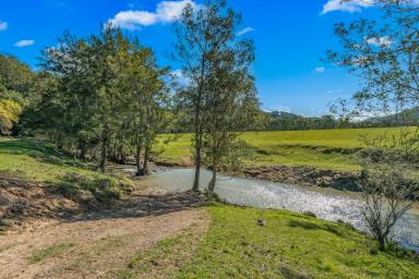Lifestyle For Sale - NSW - Gloucester - 2422 - 'Jumaron Ridge' -  256 Acre Rural Lifestyle Retreat  (Image 2)