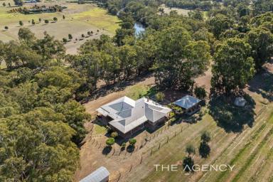House For Sale - WA - Herne Hill - 6056 - 300 Metre Swan River Frontage, Two Homes on a Parkland 8 Acres  (Image 2)