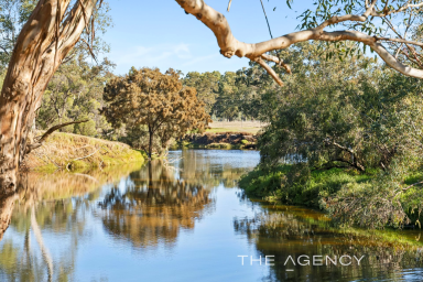 House For Sale - WA - Herne Hill - 6056 - 300 Metre Swan River Frontage, Two Homes on a Parkland 8 Acres (Image 2)