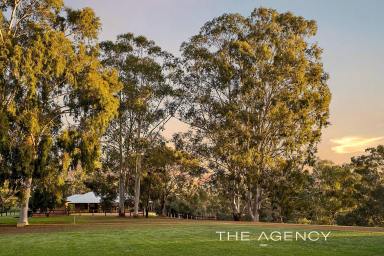 House For Sale - WA - Herne Hill - 6056 - Swan Valley Riverfront – An Irreplaceable 8-Acre Lifestyle  (Image 2)