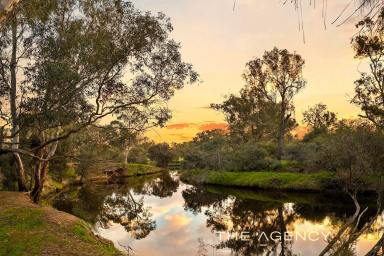 House For Sale - WA - Herne Hill - 6056 - Huge Price Reduction-Swan Valley Riverfront – An Irreplaceable 8-Acre Lifestyle  (Image 2)