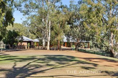House For Sale - WA - Herne Hill - 6056 - 300 Metre Swan River Frontage, Two Homes on a Parkland 8 Acres (Image 2)