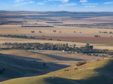 Residential Block For Sale - SA - Point Pass - 5374 - The Outlook at Point Pass - 150 Acres of Elevated Views, Sunrise Magic & Lifestyle Potential  (Image 2)