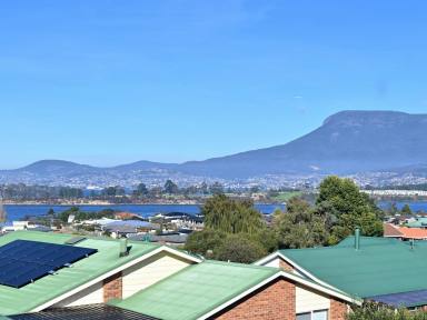 House For Sale - TAS - Old Beach - 7017 - Elevated Living with Panoramic Views  (Image 2)