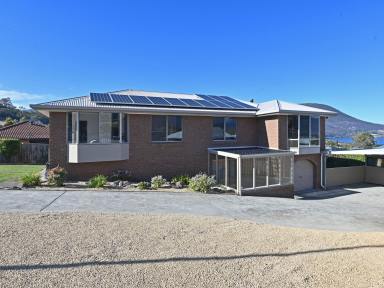 House For Sale - TAS - Old Beach - 7017 - Elevated Living with Panoramic Views  (Image 2)