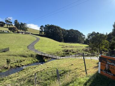 Acreage/Semi-rural For Sale - TAS - Sulphur Creek - 7316 - 15 Acres of Coastal Tranquillity (Image 2)