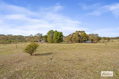 Residential Block For Sale - VIC - Moyston - 3377 - 4.8 Acres Of Rural Living Land - Endless Opportunity  (Image 2)