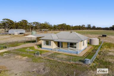 Mixed Farming For Sale - VIC - Glenorchy - 3385 - 'Taylors' 229 Acres Productive Mixed Farming  (Image 2)