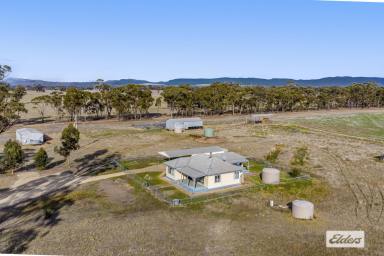 Mixed Farming For Sale - VIC - Glenorchy - 3385 - 'Taylors' 229 Acres Productive Mixed Farming  (Image 2)