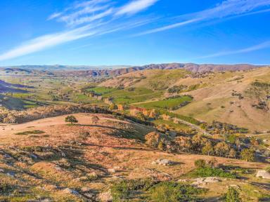 Residential Block For Sale - NSW - Tumut - 2720 - Views & More! (Image 2)