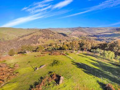Residential Block For Sale - NSW - Tumut - 2720 - Views & More! (Image 2)