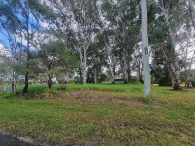 Residential Block For Sale - QLD - Macleay Island - 4184 - Build Your Island Dream with Stunning Mainland Views  (Image 2)