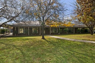 House For Sale - VIC - Nagambie - 3608 - A Family Dream  (Image 2)