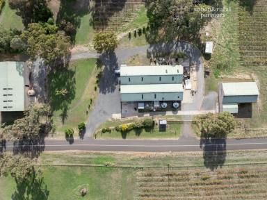 Lifestyle For Sale - SA - Lyndoch - 5351 - Rare Barossa Commercial & Tourism Opportunity on 4.62ha (Image 2)