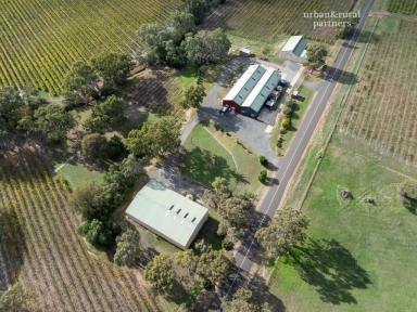 Viticulture For Sale - SA - Lyndoch - 5351 - Rare Barossa Commercial & Tourism Opportunity on 4.62ha  (Image 2)