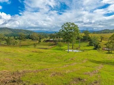 Acreage/Semi-rural For Sale - QLD - Coolabine - 4574 - Great location in pretty country town - Kenilworth  (Image 2)