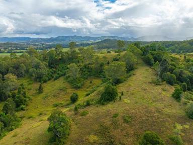 Acreage/Semi-rural For Sale - QLD - Coolabine - 4574 - Great location in pretty country town - Kenilworth  (Image 2)