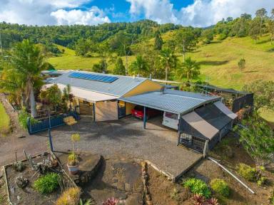 Acreage/Semi-rural For Sale - QLD - Coolabine - 4574 - Idyllic Acreage Lifestyle Awaits  (Image 2)