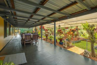Acreage/Semi-rural For Sale - QLD - Coolabine - 4574 - Idyllic Acreage Lifestyle Awaits  (Image 2)