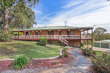 Acreage/Semi-rural For Sale - NSW - Wingham - 2429 - Discover Serenity  (Image 2)
