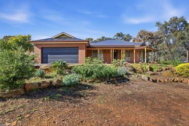 House For Sale - VIC - Maiden Gully - 3551 - Elevated Family Living on Over an Acre in Popular Robin Hill Estate  (Image 2)