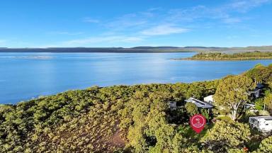Residential Block For Sale - QLD - Macleay Island - 4184 - Elevated Position & Potential Water Views  (Image 2)
