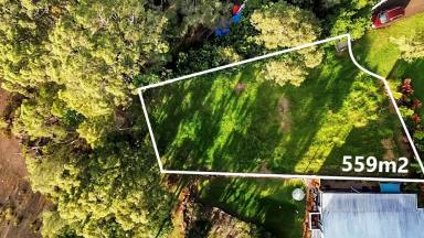 Residential Block For Sale - QLD - Macleay Island - 4184 - Elevated Position & Potential Water Views  (Image 2)