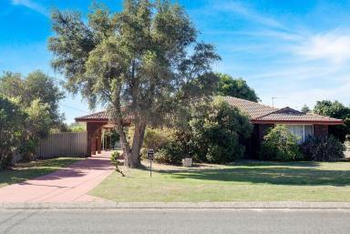 House For Sale - WA - High Wycombe - 6057 - Timeless Character, Landholding Opportunity  (Image 2)