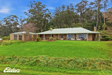 Farmlet For Sale - VIC - Devon North - 3971 - INVIGORATING SERENITY IN THE CRISP, CLEAN COUNTRY AIR  (Image 2)