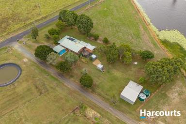 House For Sale - QLD - North Isis - 4660 - NOT MANY LIKE THIS AROUND HERE  (Image 2)