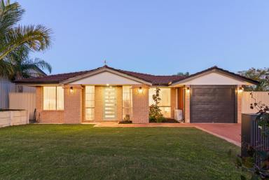 House For Sale - WA - Mirrabooka - 6061 - Modern Style Meets the Ultimate Entertainer  (Image 2)