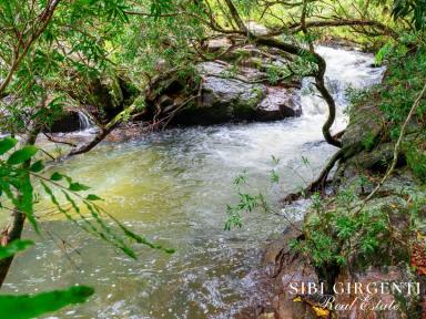 Lifestyle For Sale - QLD - Upper Barron - 4883 - UNRIVALLED ACERAGE WITH UNIQUE RIVER FRONTAGE (Image 2)