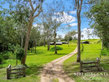Lifestyle For Sale - QLD - Upper Barron - 4883 - UNRIVALLED ACERAGE WITH UNIQUE RIVER FRONTAGE (Image 2)