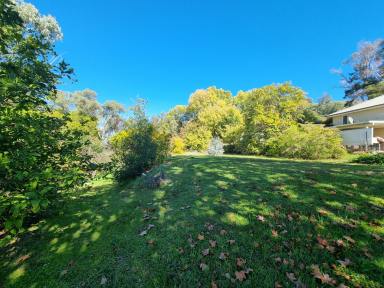 Residential Block For Sale - NSW - Gundagai - 2722 - Ready to Build.  (Image 2)