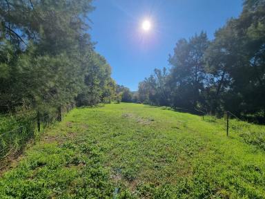 Residential Block For Sale - NSW - Gundagai - 2722 - Ready to Build.  (Image 2)